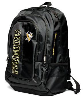 Цена на рюкзак nhl pittsburgh penguins 58047Рюкзак NHL Pittsburgh Penguins 58047