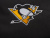 Рюкзак NHL Pittsburgh Penguins 58059_2